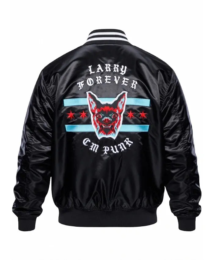 wwe elimination chamber cm punk larry jacket